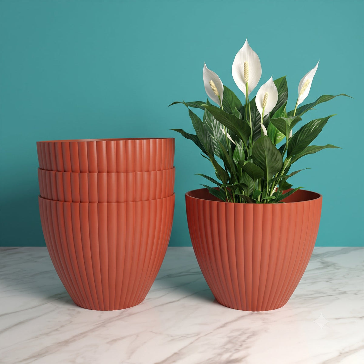 Plastic Flower Pots – Durable Round Planters for Home & Garden | Plant Edge